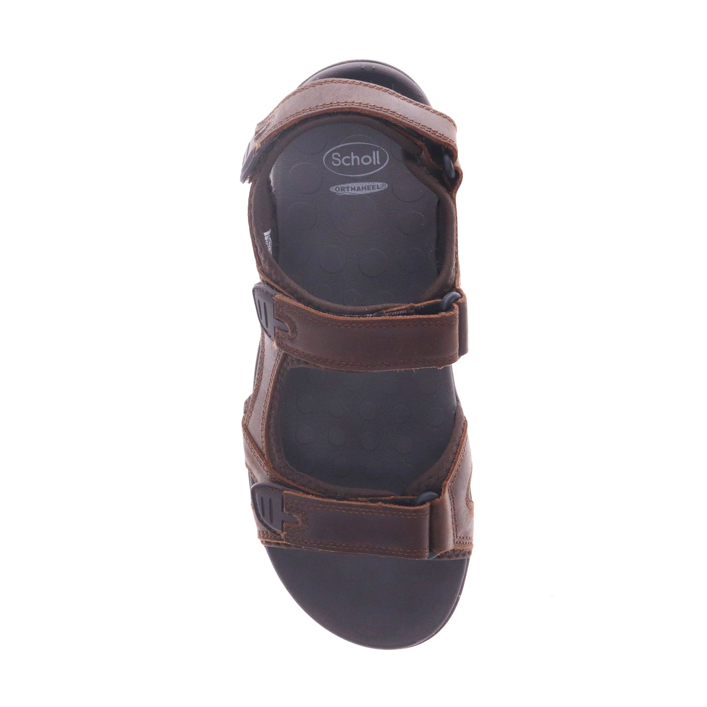 Brody Men's Brown Sandal - Scholl